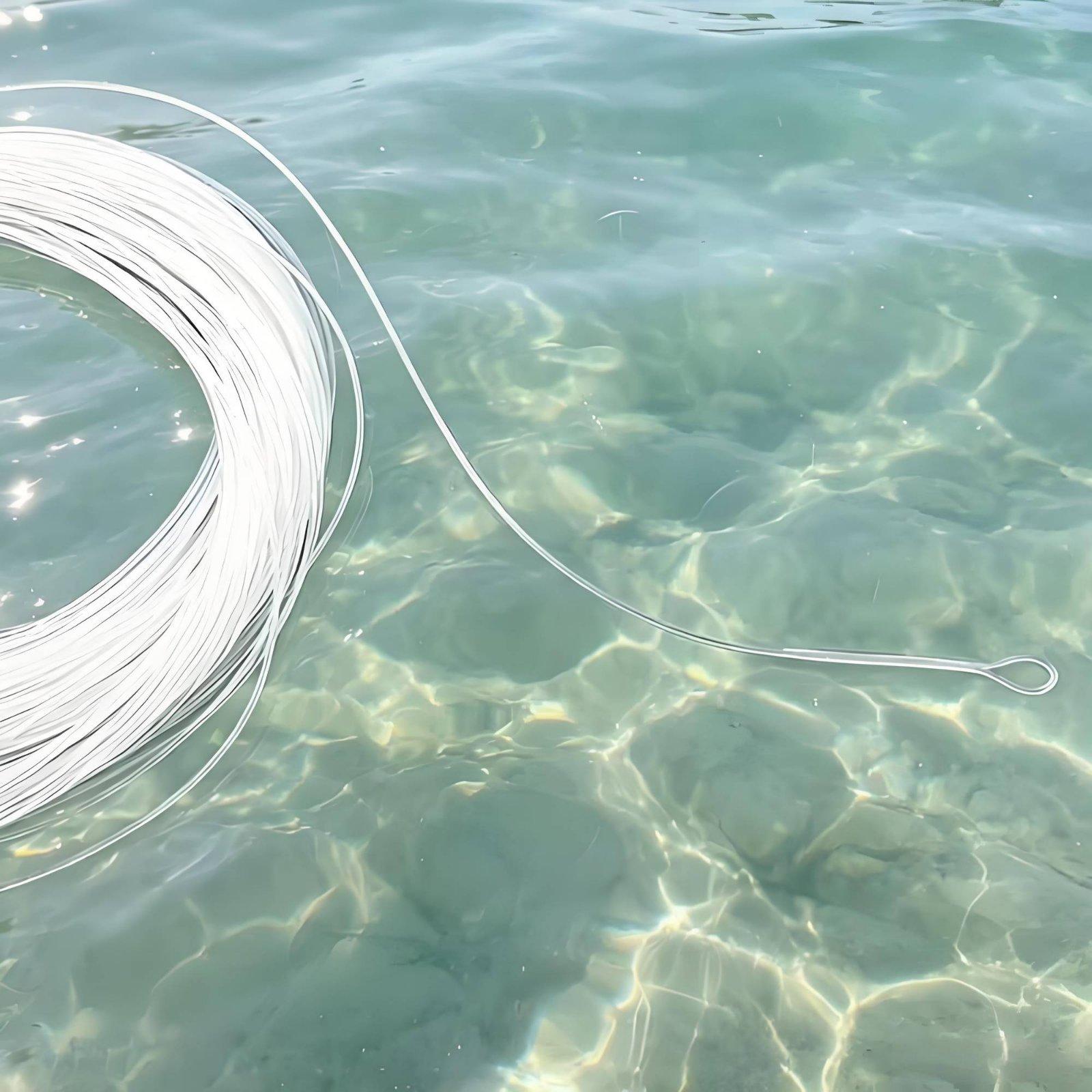 Transparent Fly Fishing Line S - Braided Line ulasan dan harga